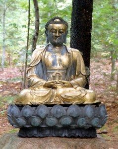 seatedamitabhabuddha-copy