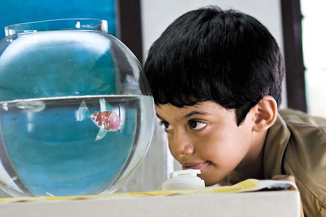 Darsheel Safary In Like Stars On Earth Lassi With Lavina