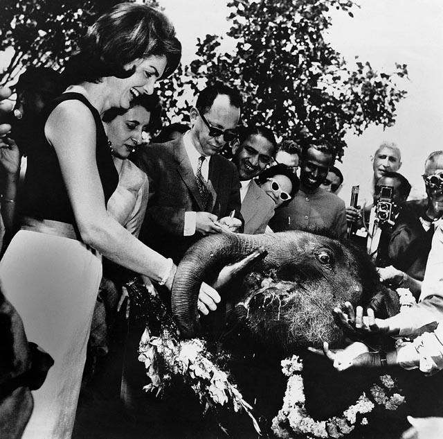 Homai Vyarawalla, Indian (1913 – 2012) Jacqueline Kennedy feeding Urvashi, the baby elephant at Teen Murti House, 1962 gelatin silver print Alkazi Collection of Photography