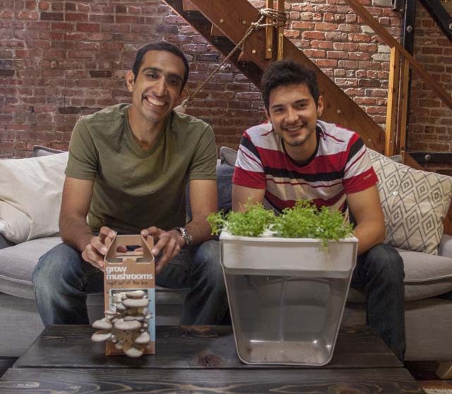 Nikhil Arora and Alejandro Velez 