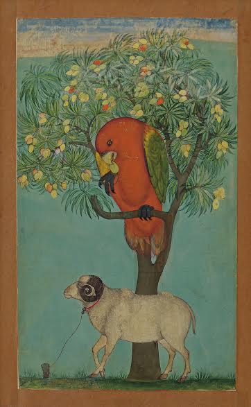 A Parrot Perched on a Mango Tree, a Ram Tethered Below Golconda, ca. 1630–70 Ink, opaque watercolor, and gold on paper 9⅜ × 5½ in. (23.9 × 14.1 cm) Jagdish and Kamla Mittal Museum of Indian Art, Hyderabad (76.438)