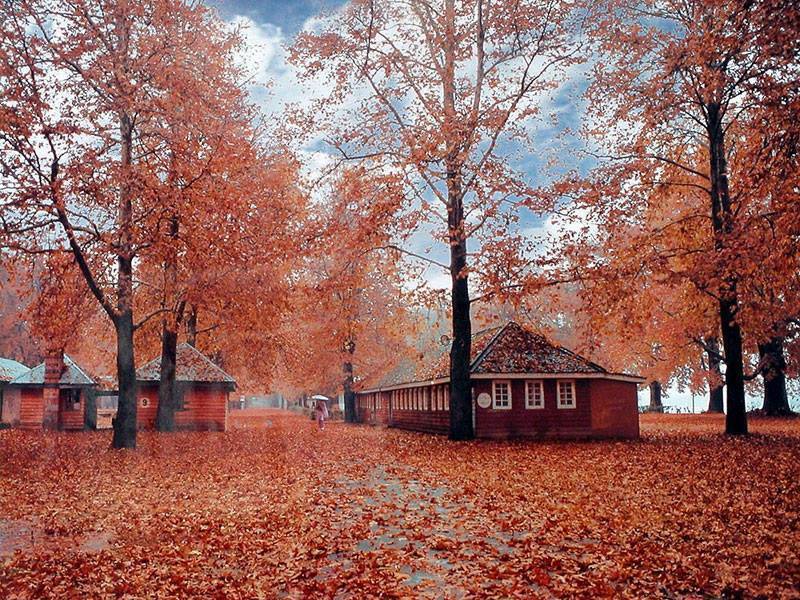 Naseem Bagh, Srinagar, Kashmir