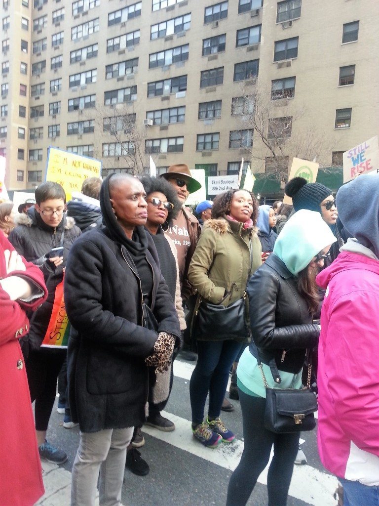 Marchers take Manhattan Photo - Lavina Melwani