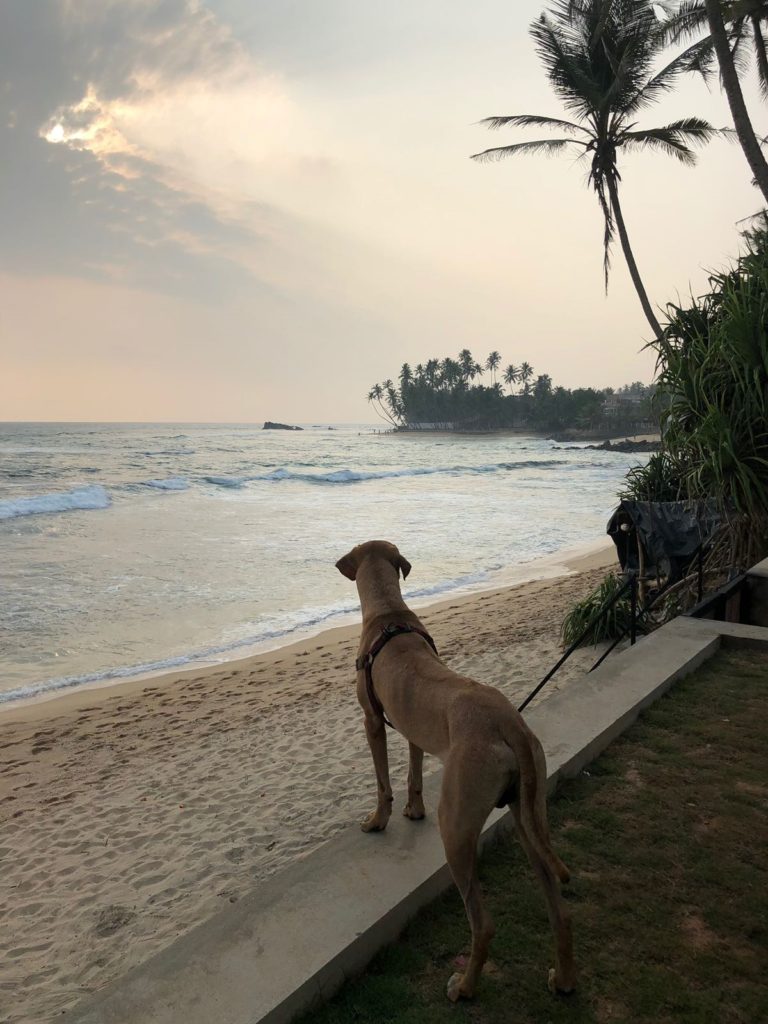 Sri Lanka - A paradise
