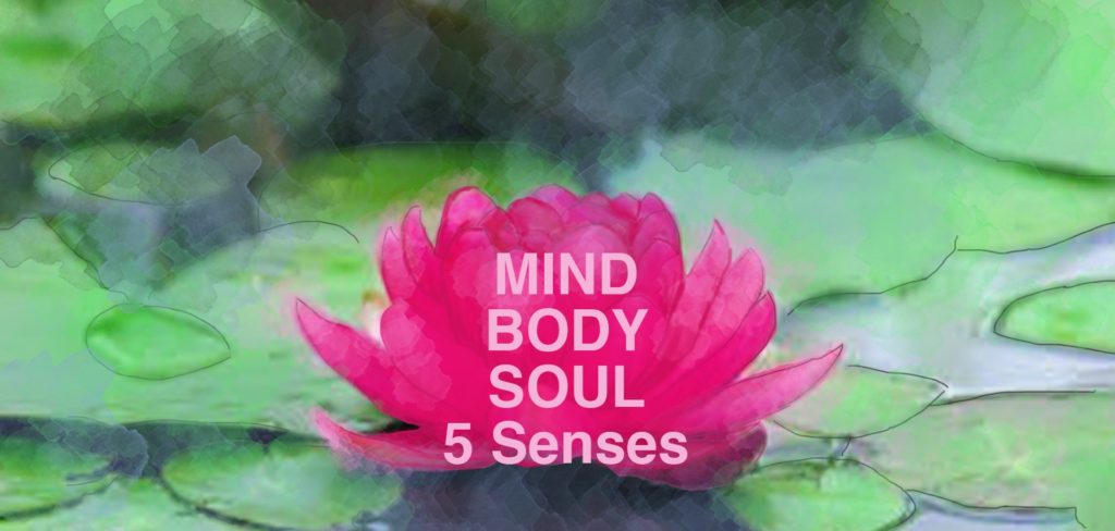 Ayurveda - mind, body and soul