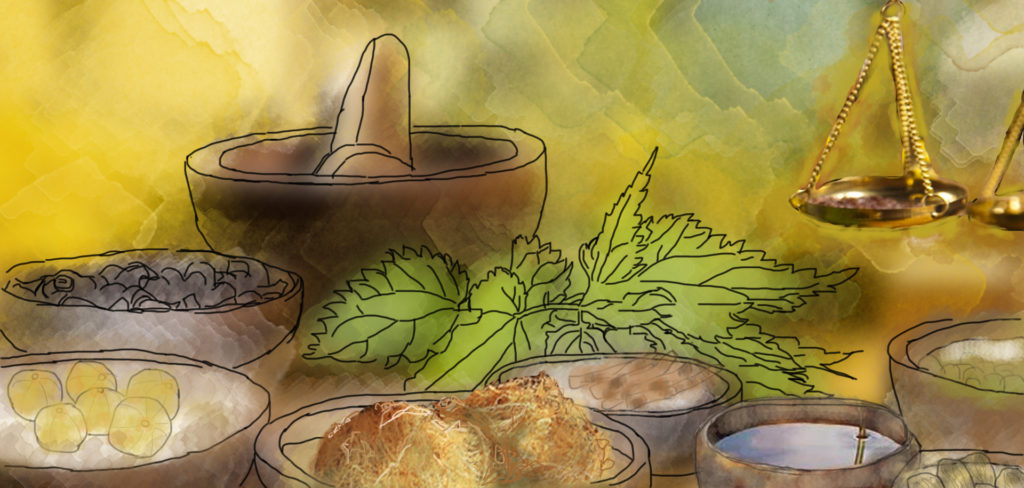 Herbs in ayurveda