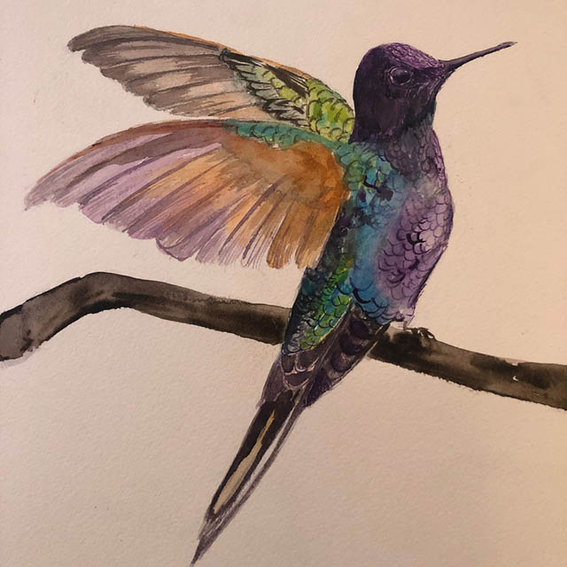 Hummingbird - Rasika Reddy