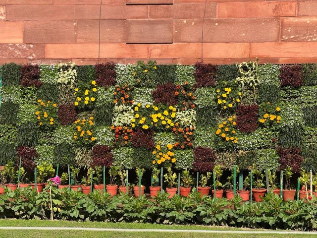 Amrit Udyan - Rashtrapati Bhavan - 2