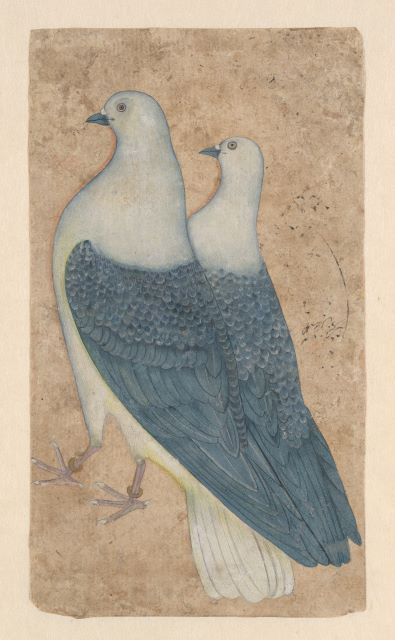 Two Pigeons, 2022.179
