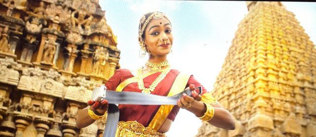 Air India Safety video