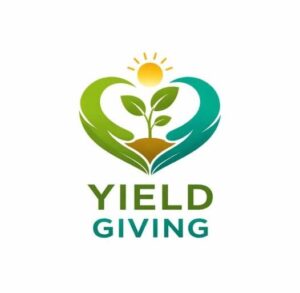 yield giving - Mackenzie Scott